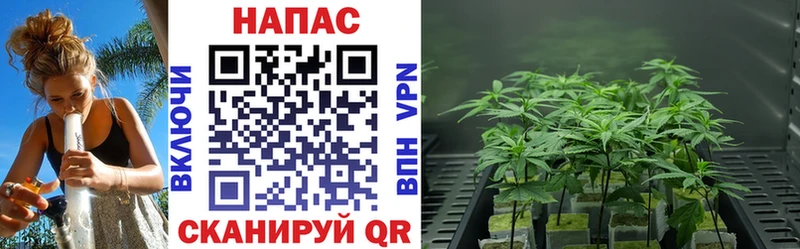 Виды наркоты Андреаполь Канабис БУТИРАТ ГАШ СОЛЬ