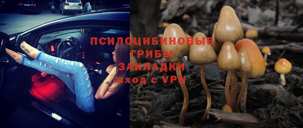 mdpv Протвино